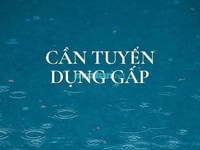 Siêu thị tiện lợi cần tuyển nhân viên phụ Bán hàng Siêu thị tiện lợi cần tuyển nhân viên phụ Bán hàng