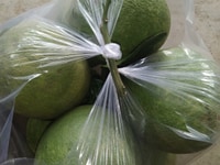 Bưởi da xanh đăkrmăng, đăkglong, đăknông Bưởi da xanh đăkrmăng, đăkglong, đăknông