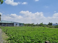 Bán 678m2 đất vườn, shr- hl11, hưng long, bình chánh chỉ 1, 6tr/m2 Bán 678m2 đất vườn, shr- hl11, hưng long, bình chánh chỉ 1, 6tr/m2