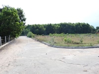 Đang cần tiền gấp thanh lý 1000m đất Bình Châu giá chỉ 2 tỷ Đang cần tiền gấp thanh lý 1000m đất Bình Châu giá chỉ 2 tỷ