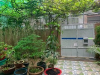 Về Mỹ cần bán gấp nhà đất sân vườn