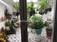 Bán HXH 6m Lê Văn Sỹ, P.1, Tân Bình, Vị tri đẹp! Bán HXH 6m Lê Văn Sỹ, P.1, Tân Bình, Vị tri đẹp!