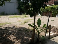 Bán đất Đồng Vân, Đồng Tháp Đan Phượng, 50m2, ngõ ô tô, phân lô Bán đất Đồng Vân, Đồng Tháp Đan Phượng, 50m2, ngõ ô tô, phân lô