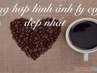 Việc làm dành cho sinh viên có thời gian Việc làm dành cho sinh viên có thời gian