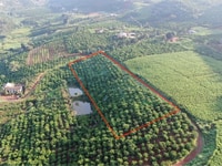 Bán đất Thị Trấn Nam Ban 418m2( thổ cư 100) ngay thác voi đi vào Bán đất Thị Trấn Nam Ban 418m2( thổ cư 100) ngay thác voi đi vào
