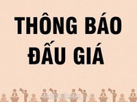 Công ty Đấu giá Hợp Danh Thịnh Trí thông báo đấu giá Công ty Đấu giá Hợp Danh Thịnh Trí thông báo đấu giá