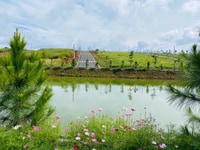 Đất nền nghỉ dưỡng view đẹp, giá mềm, công chứng trong ngày Đất nền nghỉ dưỡng view đẹp, giá mềm, công chứng trong ngày