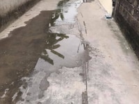 Cần bán lô đất tại, cách hạ, nam Sơn, An dương, Hải phòng Cần bán lô đất tại, cách hạ, nam Sơn, An dương, Hải phòng