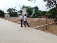 Cần bán gấp lô đất ở Phú Cát 93m, mặt tiền 7m, 3 mặt thoáng. Cần bán gấp lô đất ở Phú Cát 93m, mặt tiền 7m, 3 mặt thoáng.