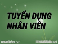 Công ty cần tuyển 30 lao động Công ty cần tuyển 30 lao động