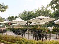 Combo 4 quà tặng sở hữu CH Eco City Việt Hưng, CK 5% + tặng 1 năm DV + Combo 4 quà tặng sở hữu CH Eco City Việt Hưng, CK 5% + tặng 1 năm DV +