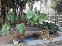 Mình cần tìm người phụ việc nhà, biết nấu ăn, ở nhà với người lớn tuổi Mình cần tìm người phụ việc nhà, biết nấu ăn, ở nhà với người lớn tuổi