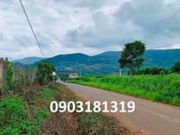 Chính chủ bán 426m2 đất Đông Thanh ngay khu dân cư giá 1,95 tỷ Chính chủ bán 426m2 đất Đông Thanh ngay khu dân cư giá 1,95 tỷ