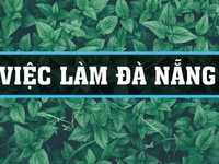 Nhân viên tư vấn sản phẩm tại công ty Nhân viên tư vấn sản phẩm tại công ty