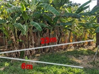 Đất Thổ - Đường xe hơi, khu dân cư Đất Thổ - Đường xe hơi, khu dân cư