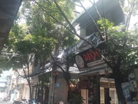 Bán nhà mặt tiền đường Bàu Cát 4 đoạn sầm uất nhất bàu cát, P14, .TB Bán nhà mặt tiền đường Bàu Cát 4 đoạn sầm uất nhất bàu cát, P14, .TB