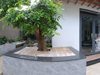 Bán Biệt Thự Đường 672 Cạnh UBND Phước Long B, Quận 9 20 tỷ 230m2 Bán Biệt Thự Đường 672 Cạnh UBND Phước Long B, Quận 9 20 tỷ 230m2