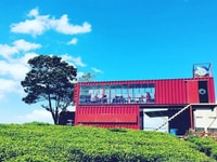 Đất view săn mây - nghỉ dưỡng giá chỉ 500tr/1000mv Đất view săn mây - nghỉ dưỡng giá chỉ 500tr/1000mv