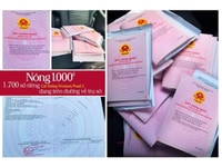 Dự án Cát tường Western Pearl Vị Thanh, Hậu Giang Dự án Cát tường Western Pearl Vị Thanh, Hậu Giang