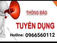Tuyển tài xế B2/C Phụ xe giao hàng Phụ kho bốc xếp Tuyển tài xế B2/C Phụ xe giao hàng Phụ kho bốc xếp