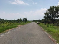 Đất Đinh Công Tráng giá rẻ nhất khu vực, sổ hồng riêng LaGi Bình Thuận Đất Đinh Công Tráng giá rẻ nhất khu vực, sổ hồng riêng LaGi Bình Thuận
