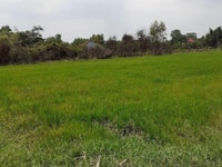 Buôn bán phải có tâm, trung thực là thước đo không thể thiếu. Buôn bán phải có tâm, trung thực là thước đo không thể thiếu.