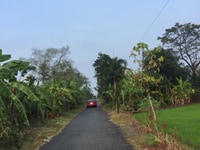 Cần bán đất ở huyện Tân Trụ, tỉnh Long An, đất thổ cư, có sổ hồng Cần bán đất ở huyện Tân Trụ, tỉnh Long An, đất thổ cư, có sổ hồng
