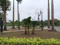 Tôi cần bán 1 số lô Tân Phú Hưng, Hải Dương, giá tốt, vị trí đẹp Tôi cần bán 1 số lô Tân Phú Hưng, Hải Dương, giá tốt, vị trí đẹp