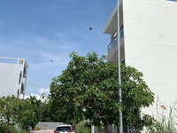 Nhà Đào Sư Tích, 1 trệt, 2 lầu, 6x14m, giá 4,9 tỷ, sổ hồng Nhà Đào Sư Tích, 1 trệt, 2 lầu, 6x14m, giá 4,9 tỷ, sổ hồng