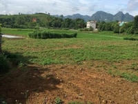 Sang nhượng gấp siêu phẩm đất nghỉ dưỡng tại Lương Sơn, Hòa Bình Sang nhượng gấp siêu phẩm đất nghỉ dưỡng tại Lương Sơn, Hòa Bình