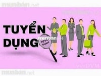Cần tuyển gấp gấp NV tư vấn sản phẩm, chăm sóc sóc khách hàng Cần tuyển gấp gấp NV tư vấn sản phẩm, chăm sóc sóc khách hàng