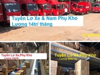 TpHCM Cần Tuyển Lơ Xe Tải Và Nam Phụ Kho Tại Siêu Thị TpHCM Cần Tuyển Lơ Xe Tải Và Nam Phụ Kho Tại Siêu Thị