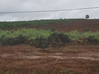 Kẹt tiền bán lỗ nhà vườn ngay gần trung tâm thành phố, chợ đêm Đà Lạt Kẹt tiền bán lỗ nhà vườn ngay gần trung tâm thành phố, chợ đêm Đà Lạt