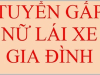 Cần tuyển gấp nữ lái xe gia đình tại khu vực Hoàng Quốc Việt, Cầu Giấy