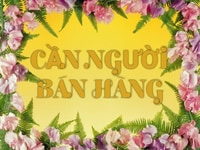 Cần gấp 3 bạn nữ bán hàng tại quầy Cần gấp 3 bạn nữ bán hàng tại quầy