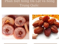 Hồng Treo Gió Đà Lạt ( Không phải hồng sấy). Hồng Treo Gió Đà Lạt ( Không phải hồng sấy).