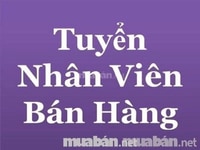 Cửa hàng mới mở cần tuyển thu ngân và nhân viên bán hàng tại quầy Cửa hàng mới mở cần tuyển thu ngân và nhân viên bán hàng tại quầy