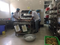 Nấu cơm công nhân tại khu cong nghiệp vân trung Nấu cơm công nhân tại khu cong nghiệp vân trung
