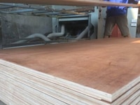 Gỗ dán ván sàn container dùng cho thay thế, sửa chữa sàn container Gỗ dán ván sàn container dùng cho thay thế, sửa chữa sàn container