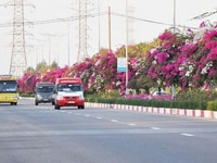 Chính Chủ cần bán gấp 5 lô đất Lan Anh Cạnh Bệnh Viện Bà Rịa 11tr/m2: Chính Chủ cần bán gấp 5 lô đất Lan Anh Cạnh Bệnh Viện Bà Rịa 11tr/m2: