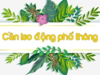 Cần bổ xung các bộ phận sau dịch Cần bổ xung các bộ phận sau dịch