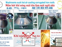 Nấm hút khí nóng mái tôn làm mát ngôi nhà Nấm hút khí nóng mái tôn làm mát ngôi nhà