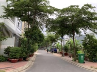 Bán biệt thự đẹp KDC Trung Sơn .DT: 240m2.Giá :25 tỷ (thương lượng). Bán biệt thự đẹp KDC Trung Sơn .DT: 240m2.Giá :25 tỷ (thương lượng).
