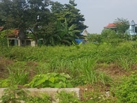 Bán gấp lô đất 1260m2 thổ cư vuông đẹp Cố Thổ, Hòa sơn, Lương Sơn Bán gấp lô đất 1260m2 thổ cư vuông đẹp Cố Thổ, Hòa sơn, Lương Sơn