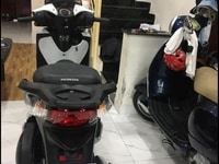 Sh ý siêu đẹp siêu cọp hàng hiếm Sh ý siêu đẹp siêu cọp hàng hiếm
