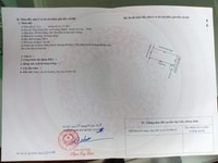 Bán gấp, bán rất gấp lô đất xã Trường Thành huyện An Lão Bán gấp, bán rất gấp lô đất xã Trường Thành huyện An Lão