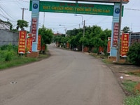 Bán gấp hơn 1 mẫu đất ở ngay trung tâm xã Bảo Quang Bán gấp hơn 1 mẫu đất ở ngay trung tâm xã Bảo Quang