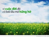 Bán đất đường 19m trục thẳng tuyến 2 đường Võ Nguyên Giáp 333m Bán đất đường 19m trục thẳng tuyến 2 đường Võ Nguyên Giáp 333m