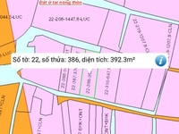 Sang gấp 392m2 đất kèm nhà trọ đang cho thuê kín phòng ở Long Thành Sang gấp 392m2 đất kèm nhà trọ đang cho thuê kín phòng ở Long Thành
