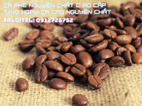 Cà phê rang xay cao cấp tặng ca cao nguyên chất Cà phê rang xay cao cấp tặng ca cao nguyên chất